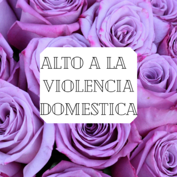 Concientización Sobre La Violencia Doméstica